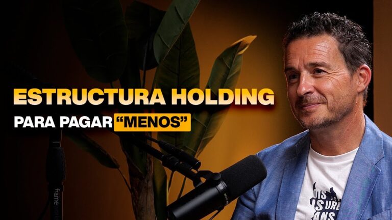 actividades de las sociedades holding