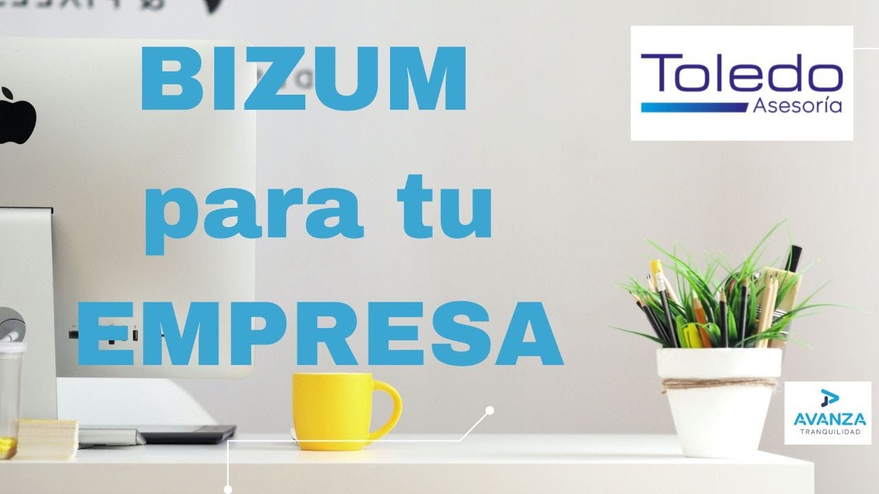 bizum de empresa a particular