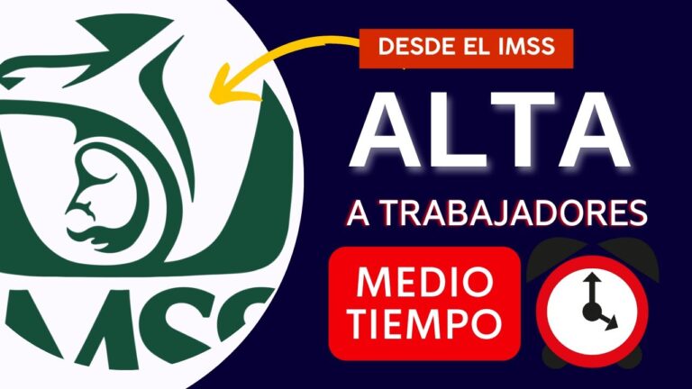 cuanto cuesta dar de alta a un trabajador 4 horas
