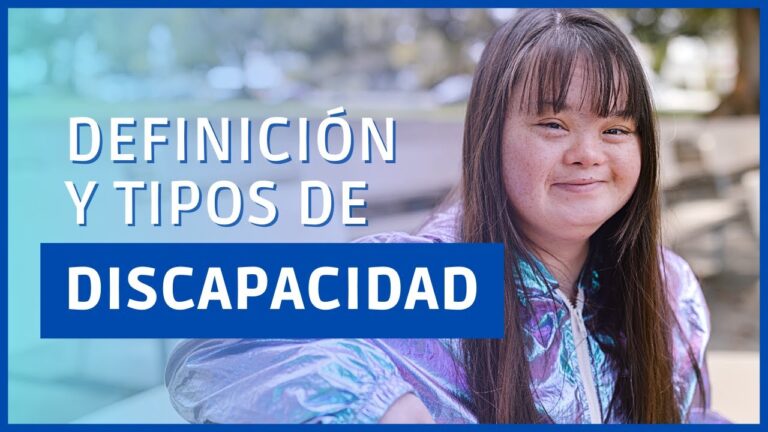 cuántos tipos de incapacidades hay