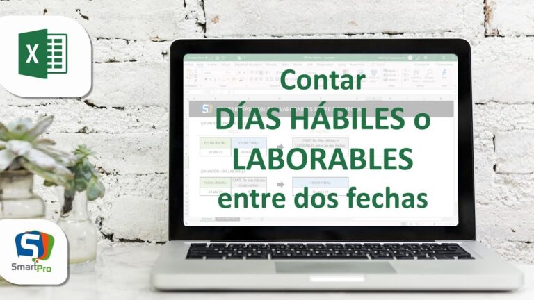 dias habiles y dias naturales