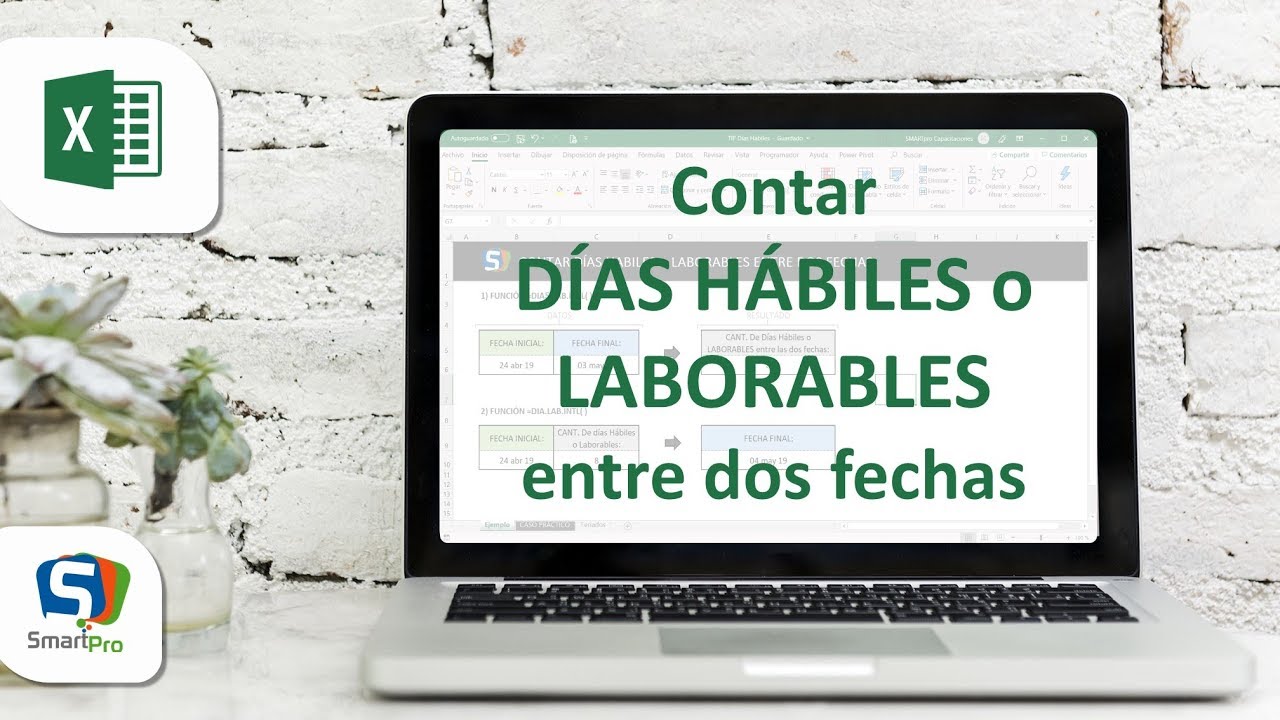 dias habiles y dias naturales