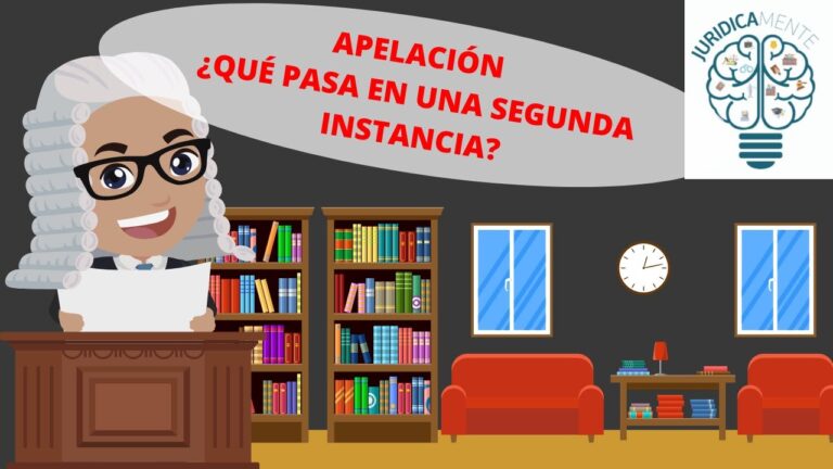 en un recurso de apelación se pueden presentar nuevas pruebas