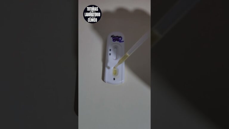 estoy cubriendo una baja y me he quedado embarazada