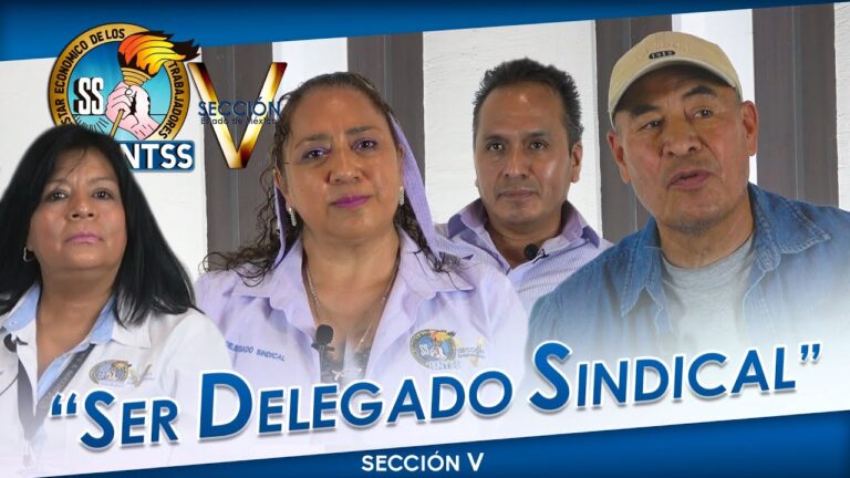 funciones de un delegado sindical