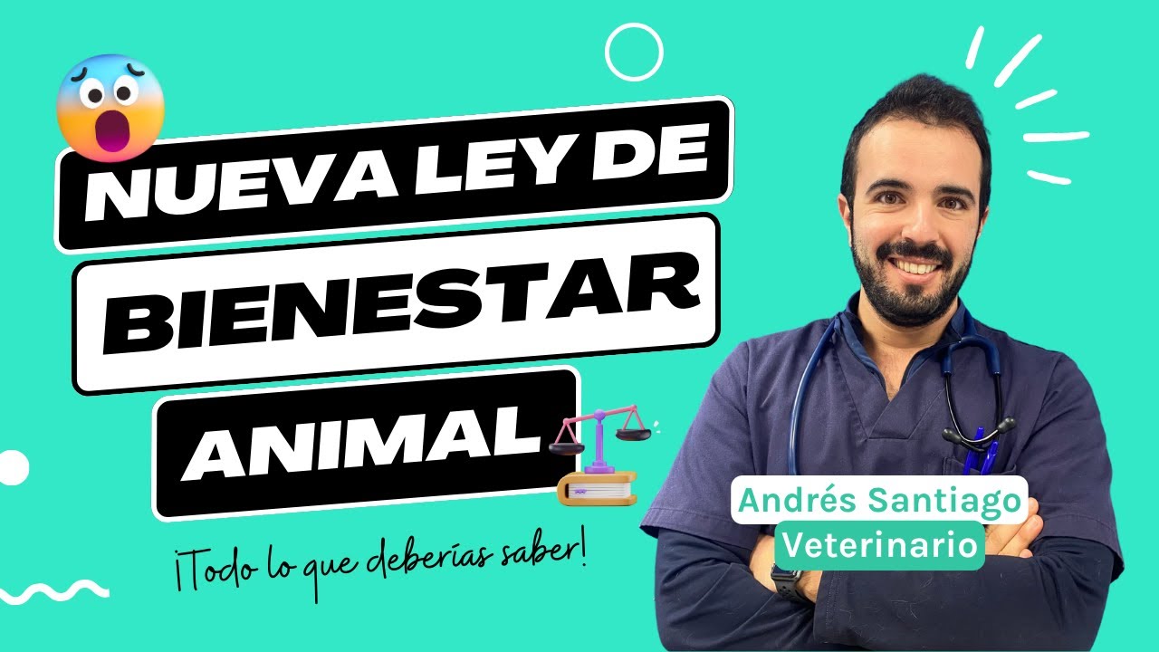 ley de bienestar animal españa