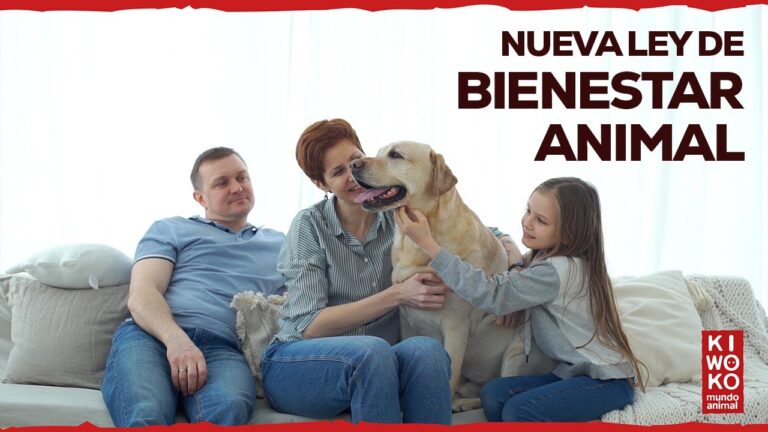 ley de bienestar animal perros