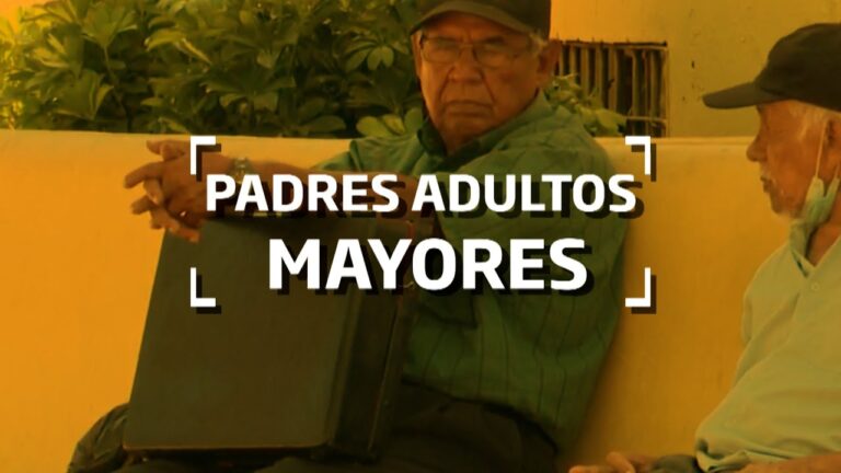 obligaciones legales de los hijos con los padres mayores