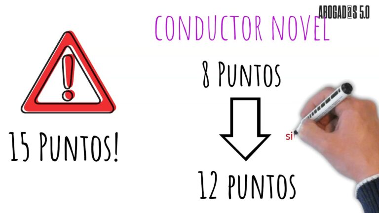puntos carnet de conducir novel