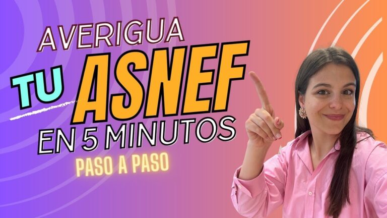 que es el asnef en españa