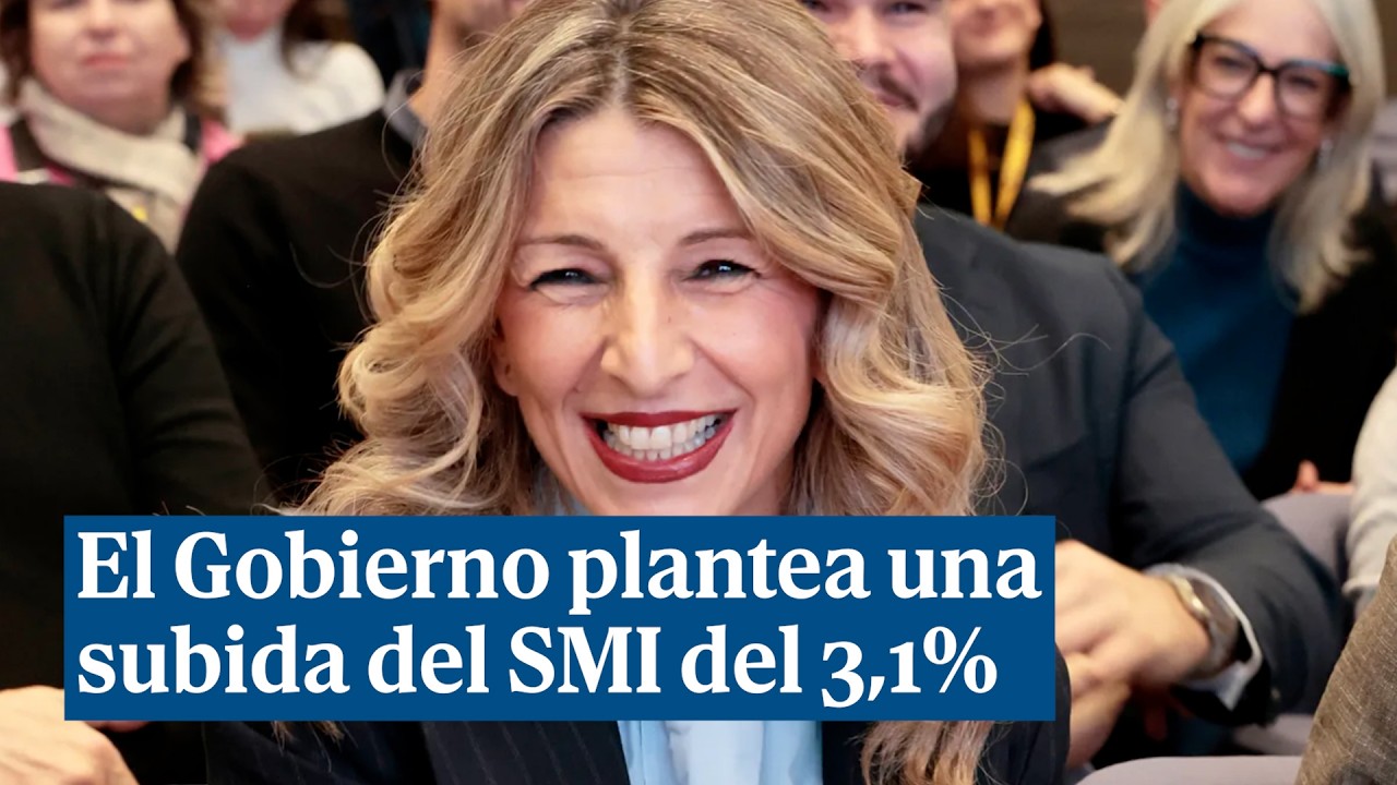 que es el smi en españa