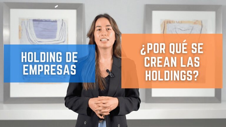 que es un holding de empresas