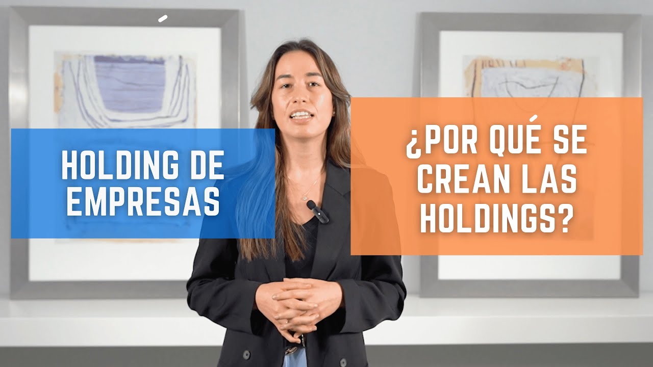 que es un holding de empresas