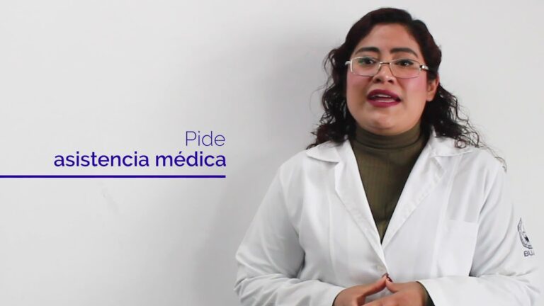 que pasa si un perro muerde a una persona