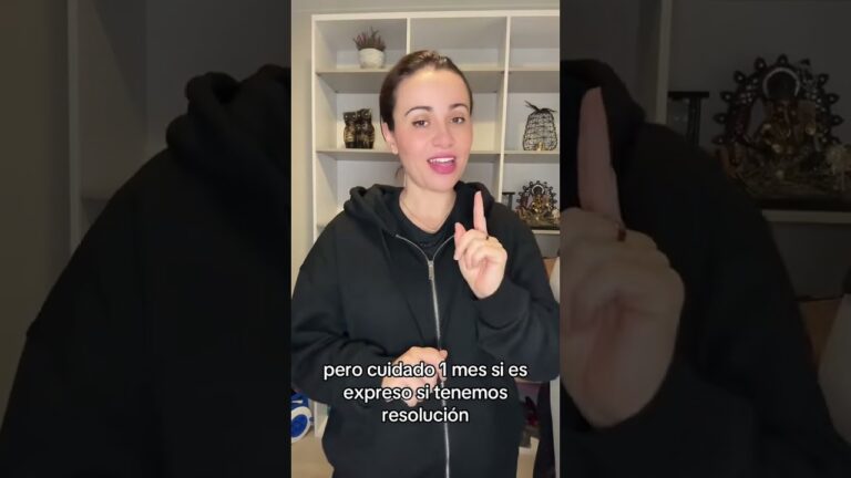 recurso de alzada plazos días hábiles o naturales